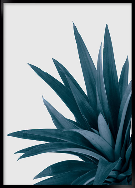 Plakat Pineapple top - Stil: Elastica