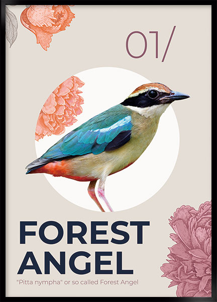 Plakat - Forest angel