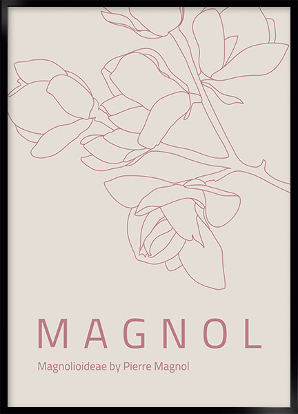 Plakat - Magnoliasand