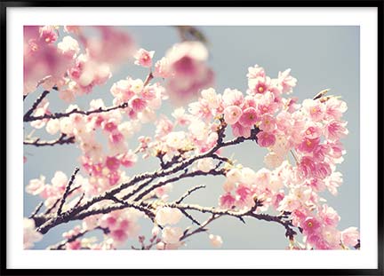 Plakat Spring flowers - Stil: Spring