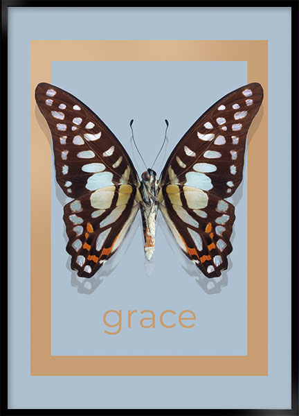 Plakat - Graceful
