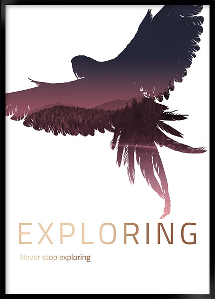 Plakat - Exploring